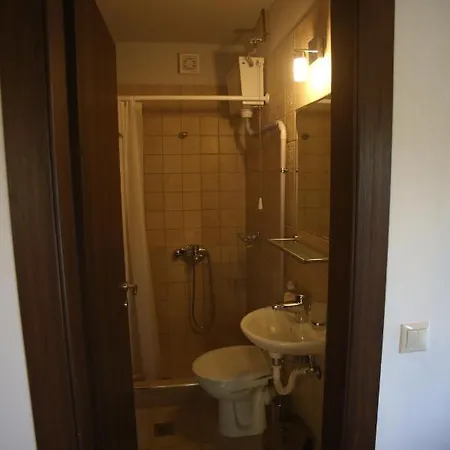 Boletus Mushroom Gardiki