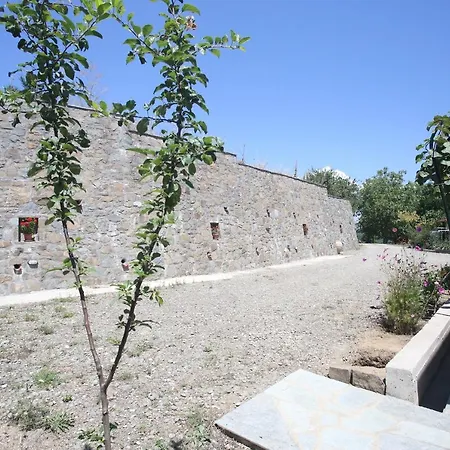 Boletus Mushroom * Gardiki
