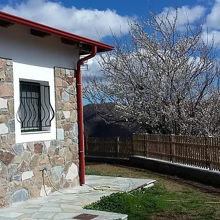 Boletus Mushroom Gardiki